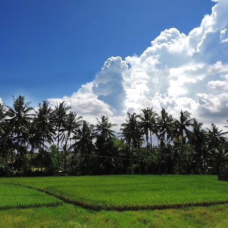 Pondok Ayu Soca Ubud  Bagian luar foto