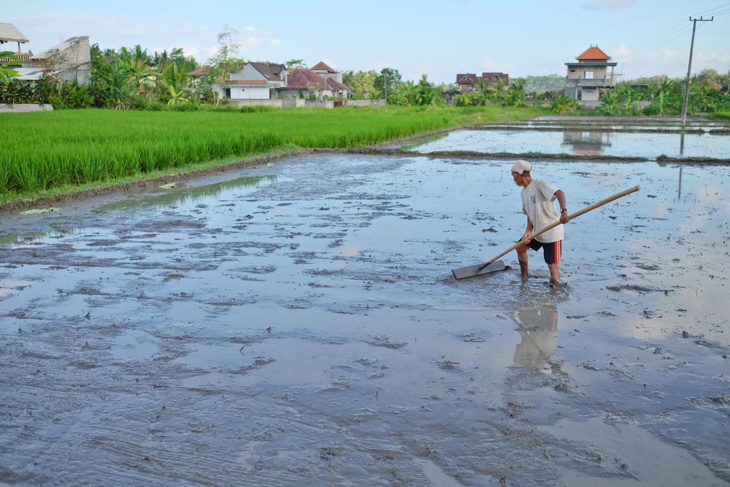Pondok Ayu Soca Ubud  Bagian luar foto