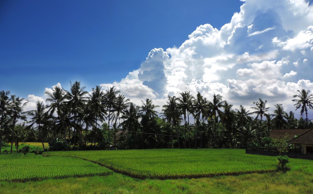 Pondok Ayu Soca Ubud  Bagian luar foto